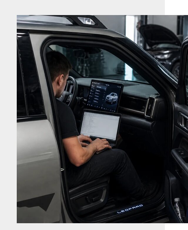Русификация BYD Leopard 3 в Снежинске по цене от 20680 р. | ФастМобиль-Снж